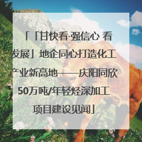 「甘快看·强信心 看发展」地企同心打造化工产业新高地——庆阳同欣50万吨/年轻烃深加工项目建设见闻