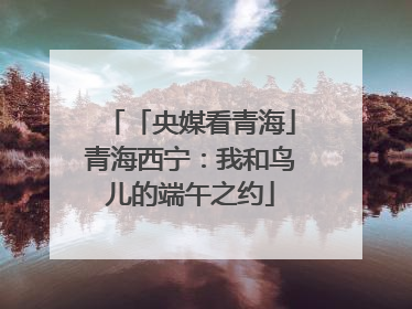 「央媒看青海」青海西宁：我和鸟儿的端午之约