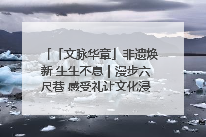 「文脉华章」非遗焕新 生生不息｜漫步六尺巷 感受礼让文化浸润的“巷”往生活