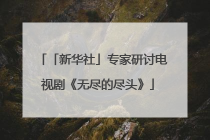 「新华社」专家研讨电视剧《无尽的尽头》