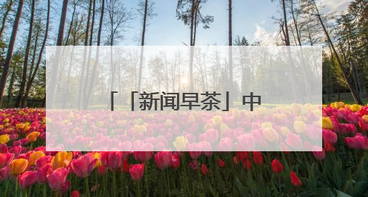 「新闻早茶」中到大雨+暴雨！河北最新预警，还有这些热点……