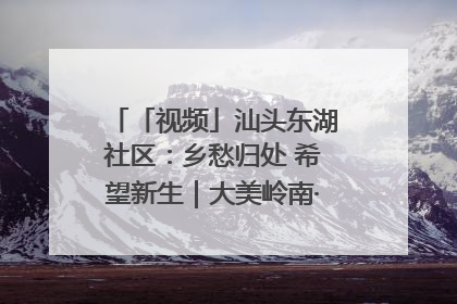 「视频」汕头东湖社区：乡愁归处 希望新生｜大美岭南·百村焕新记