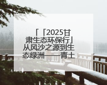 「2025甘肃生态环保行」从风沙之源到生态绿洲——青土湖华丽转身书写生态新篇