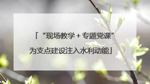“现场教学＋专题党课”为支点建设注入水利动能