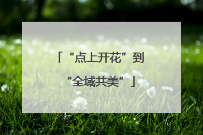 “点上开花”到“全域共美”