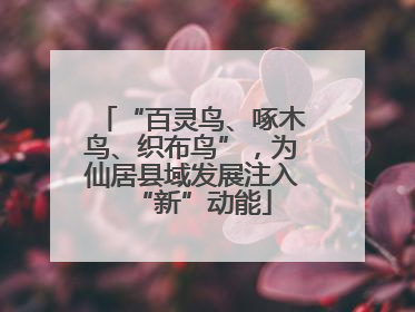 “百灵鸟、啄木鸟、织布鸟”，为仙居县域发展注入“新”动能