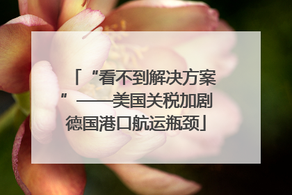 “看不到解决方案”——美国关税加剧德国港口航运瓶颈