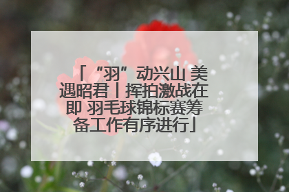 “羽”动兴山 美遇昭君丨挥拍激战在即 羽毛球锦标赛筹备工作有序进行