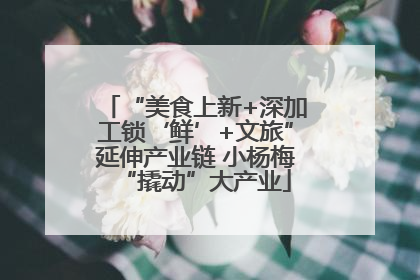 “美食上新+深加工锁‘鲜’+文旅”延伸产业链 小杨梅“撬动”大产业