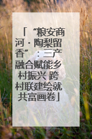 “粮安商河・陶梨留香”：三产融合赋能乡村振兴 跨村联建绘就共富画卷