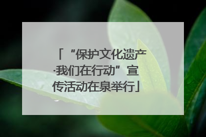 “保护文化遗产·我们在行动”宣传活动在泉举行