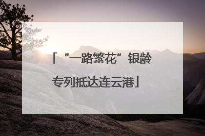 “一路繁花”银龄专列抵达连云港