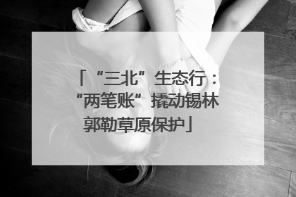 “三北”生态行：“两笔账”撬动锡林郭勒草原保护
