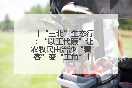 “三北”生态行：“以工代赈”让农牧民由治沙“看客”变“主角”