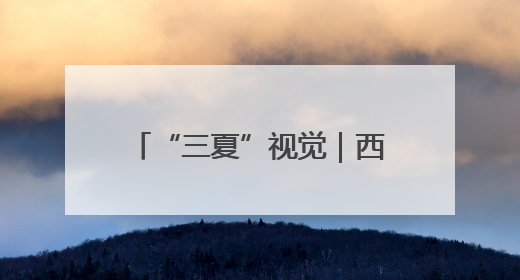 “三夏”视觉｜西平县：高标准农田里上演昼夜不停的“速度与激情”