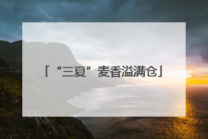 “三夏”麦香溢满仓