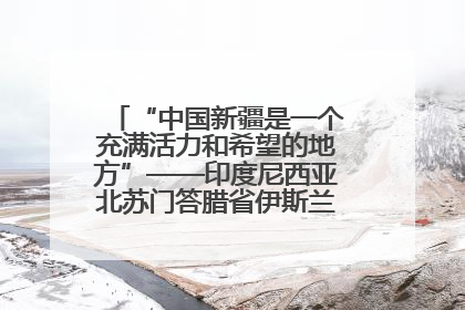“中国新疆是一个充满活力和希望的地方”——印度尼西亚北苏门答腊省伊斯兰教代表团参访新疆