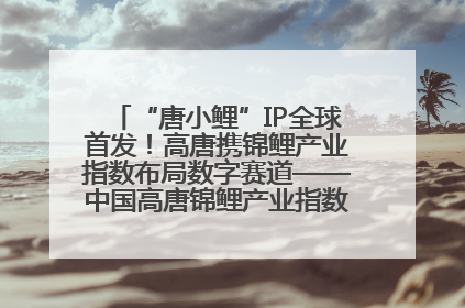 “唐小鲤”IP全球首发！高唐携锦鲤产业指数布局数字赛道——中国高唐锦鲤产业指数暨“唐小鲤”IP全球首发仪式在杭州举行
