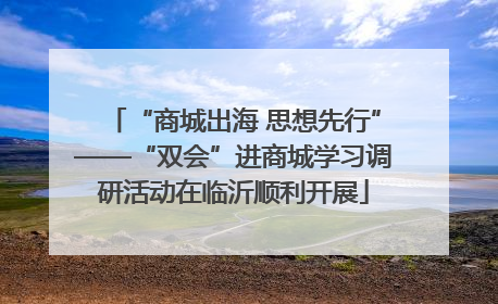 “商城出海 思想先行”——“双会”进商城学习调研活动在临沂顺利开展