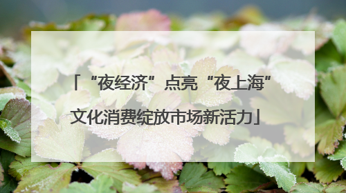 “夜经济”点亮“夜上海” 文化消费绽放市场新活力