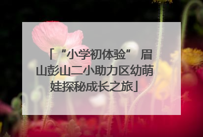 “小学初体验” 眉山彭山二小助力区幼萌娃探秘成长之旅