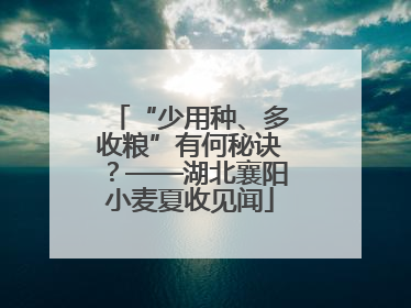 “少用种、多收粮”有何秘诀？——湖北襄阳小麦夏收见闻