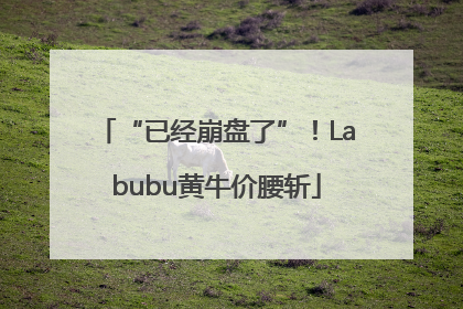 “已经崩盘了”！Labubu黄牛价腰斩