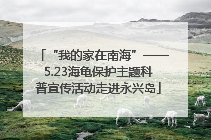 “我的家在南海”——5.23海龟保护主题科普宣传活动走进永兴岛