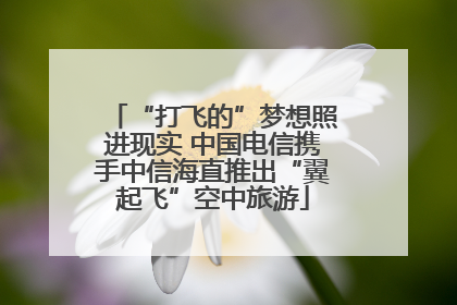 “打飞的”梦想照进现实 中国电信携手中信海直推出“翼起飞”空中旅游