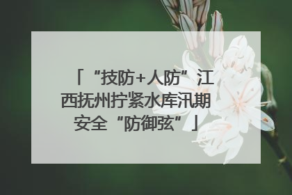 “技防+人防”江西抚州拧紧水库汛期安全“防御弦”