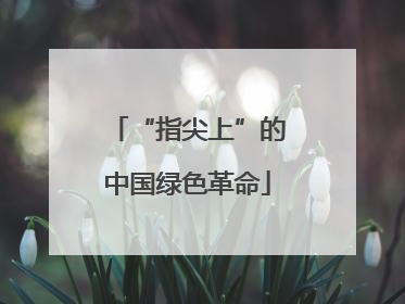“指尖上”的中国绿色革命