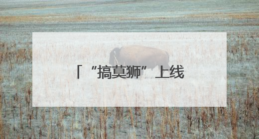 “搞莫狮”上线，武汉方言主题乐园年底也要来了
