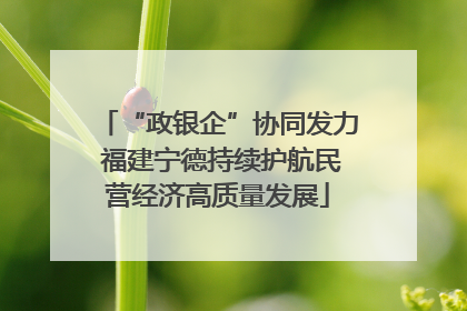 “政银企”协同发力 福建宁德持续护航民营经济高质量发展