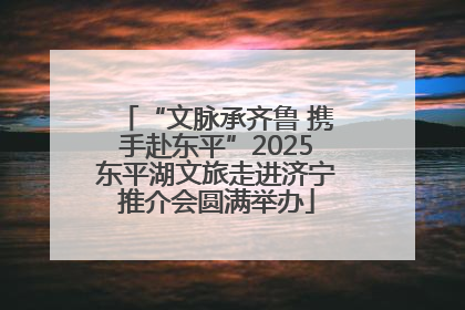 “文脉承齐鲁 携手赴东平”2025东平湖文旅走进济宁推介会圆满举办