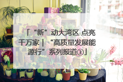 “新”动大湾区 点亮千万家｜“高质量发展能源行”系列报道③