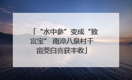 “水中参”变成“致富宝” 南漳八泉村千亩茭白喜获丰收