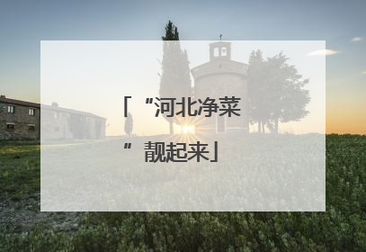 “河北净菜”靓起来