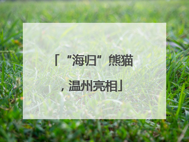 “海归”熊猫，温州亮相