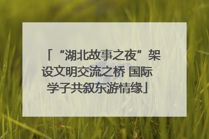 “湖北故事之夜”架设文明交流之桥 国际学子共叙东游情缘