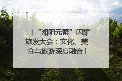 “湘阴元素”闪耀旅发大会：文化、美食与旅游深度融合