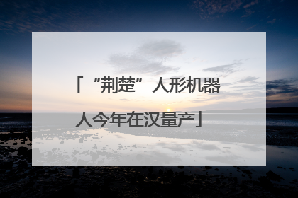 “荆楚”人形机器人今年在汉量产