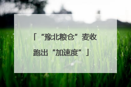 “豫北粮仓”麦收跑出“加速度”