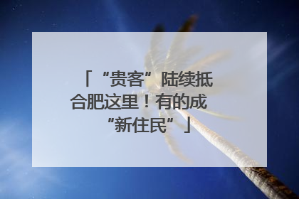 “贵客”陆续抵合肥这里！有的成“新住民”