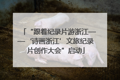 “跟着纪录片游浙江——‘诗画浙江’文旅纪录片创作大会”启动