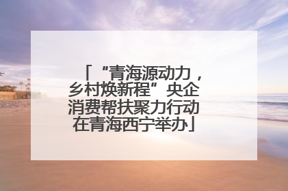 “青海源动力，乡村焕新程”央企消费帮扶聚力行动在青海西宁举办