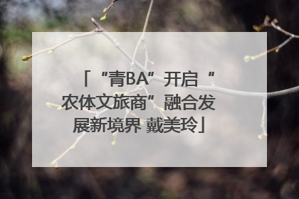 “青BA”开启“农体文旅商”融合发展新境界 戴美玲