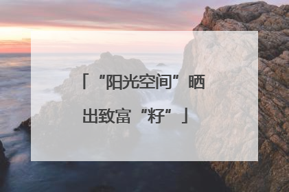 “阳光空间”晒出致富“籽”