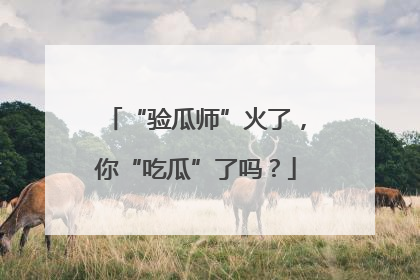 “验瓜师”火了，你“吃瓜”了吗？