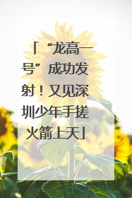 “龙高一号”成功发射！又见深圳少年手搓火箭上天