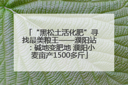“黑松土活化肥”寻找最美粮王——濮阳站：碱地变肥地 濮阳小麦亩产1500多斤